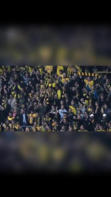 九游官方平台-包含字母哥重返赛场，险胜首场状态出色，TL观众沸腾！引发球迷热议的词条